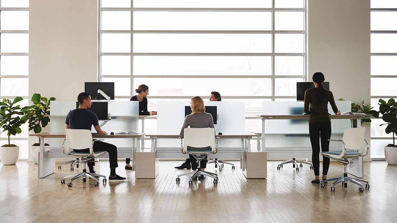 Workplace Expert 4
